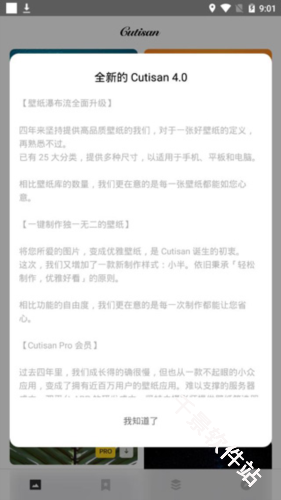 Cutisan壁纸