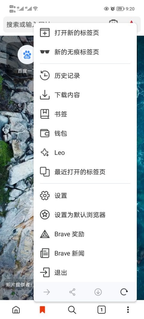 Brave浏览器截图2