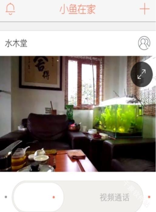小鱼在家