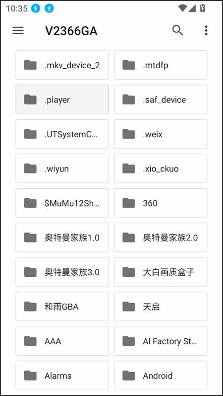 Ruffle模拟器