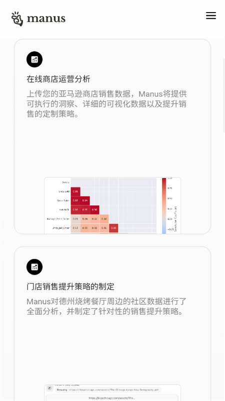 Manus截图5