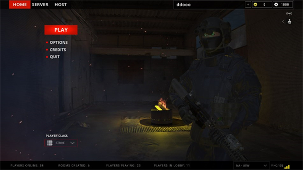 代号真实联机版