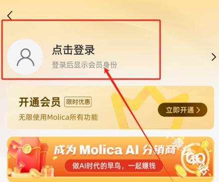 Molica AI