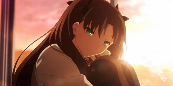 fate命运之夜汉化版