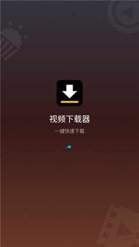 Video Downloader截图2