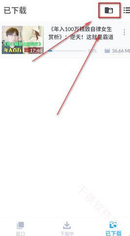 Video Downloader