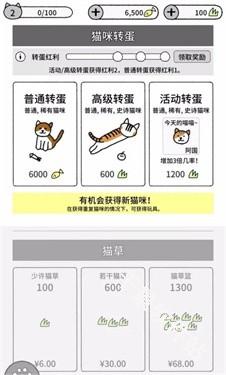 猫咪真的很可爱