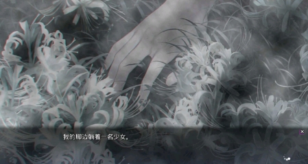 银花GINKA截图4