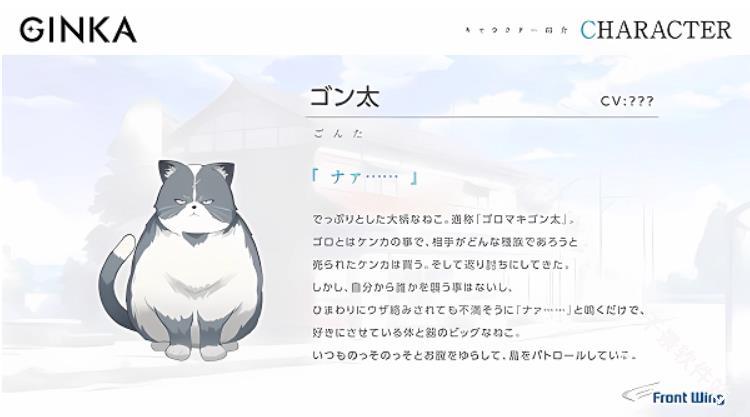 银花GINKA