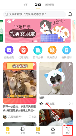 友猫