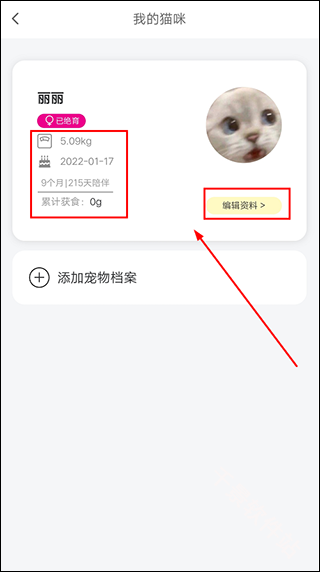 友猫