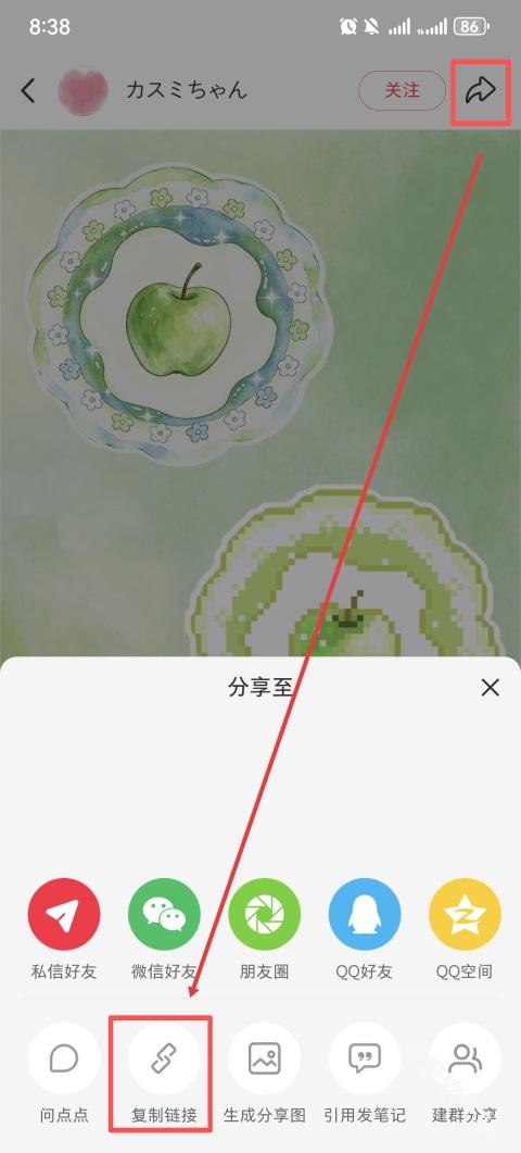 豆猫