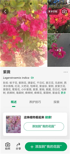 PictureThis
