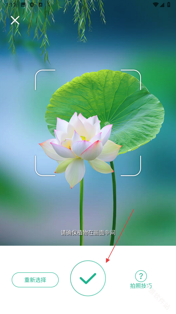 PictureThis