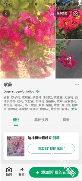 PictureThis