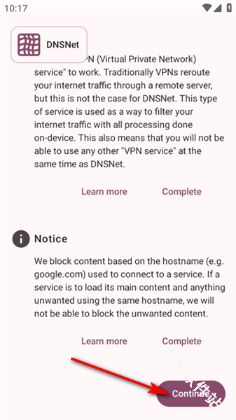 DNSNet