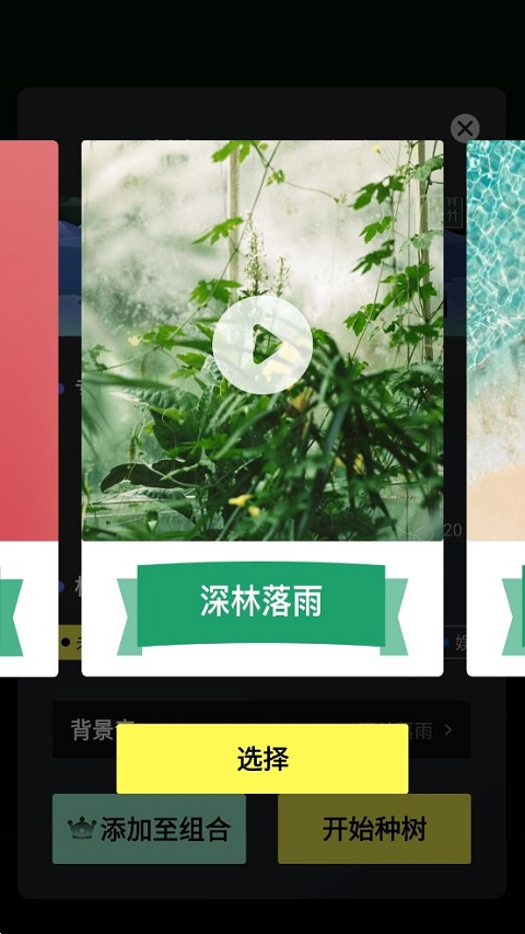 专注植树截图1