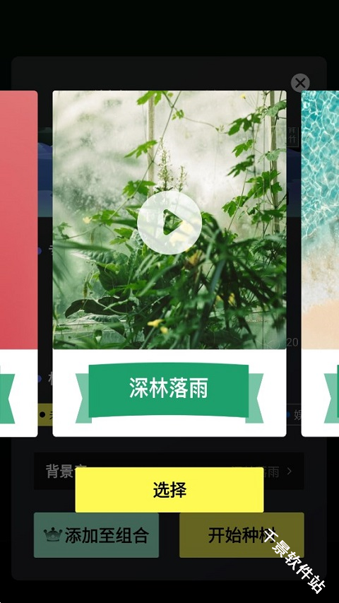 专注植树