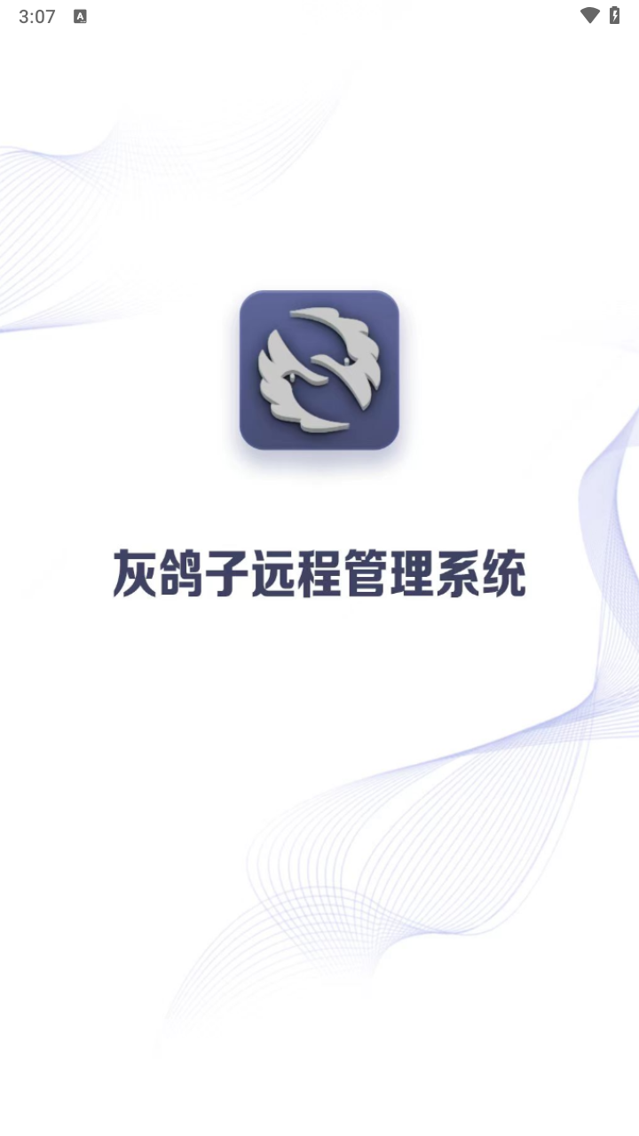 灰鸽子