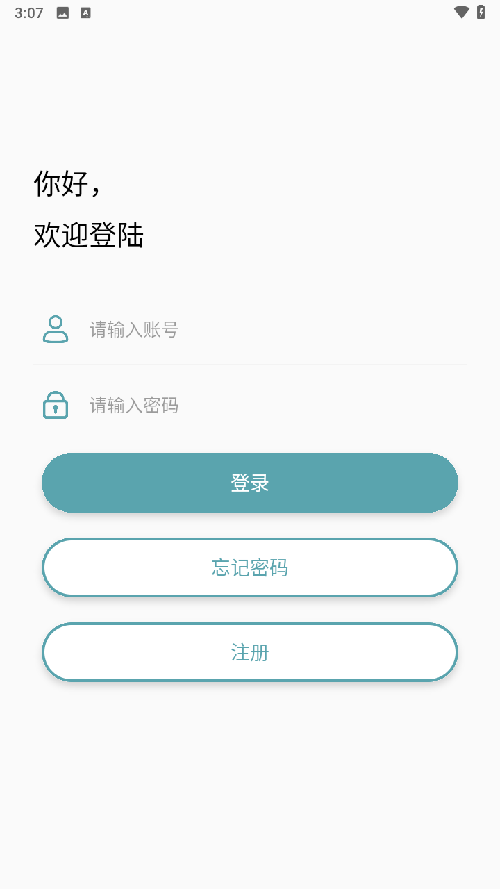 灰鸽子