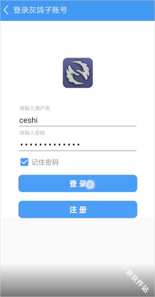 灰鸽子
