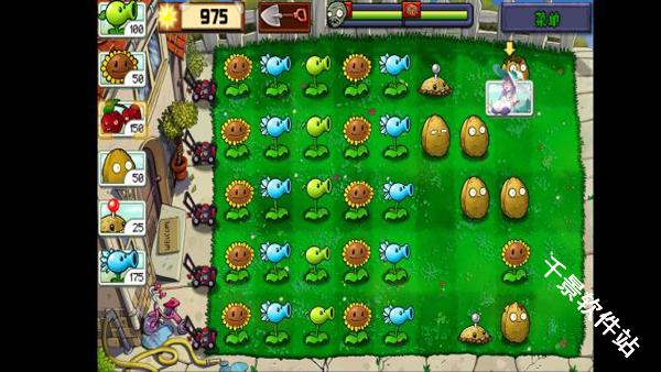 植物娘大战僵尸