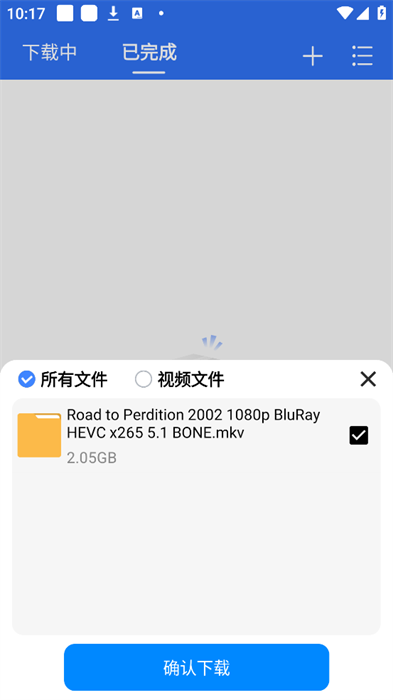 飞流下载器截图3