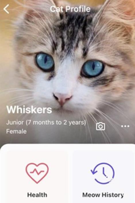 MeowTalk猫语翻译器