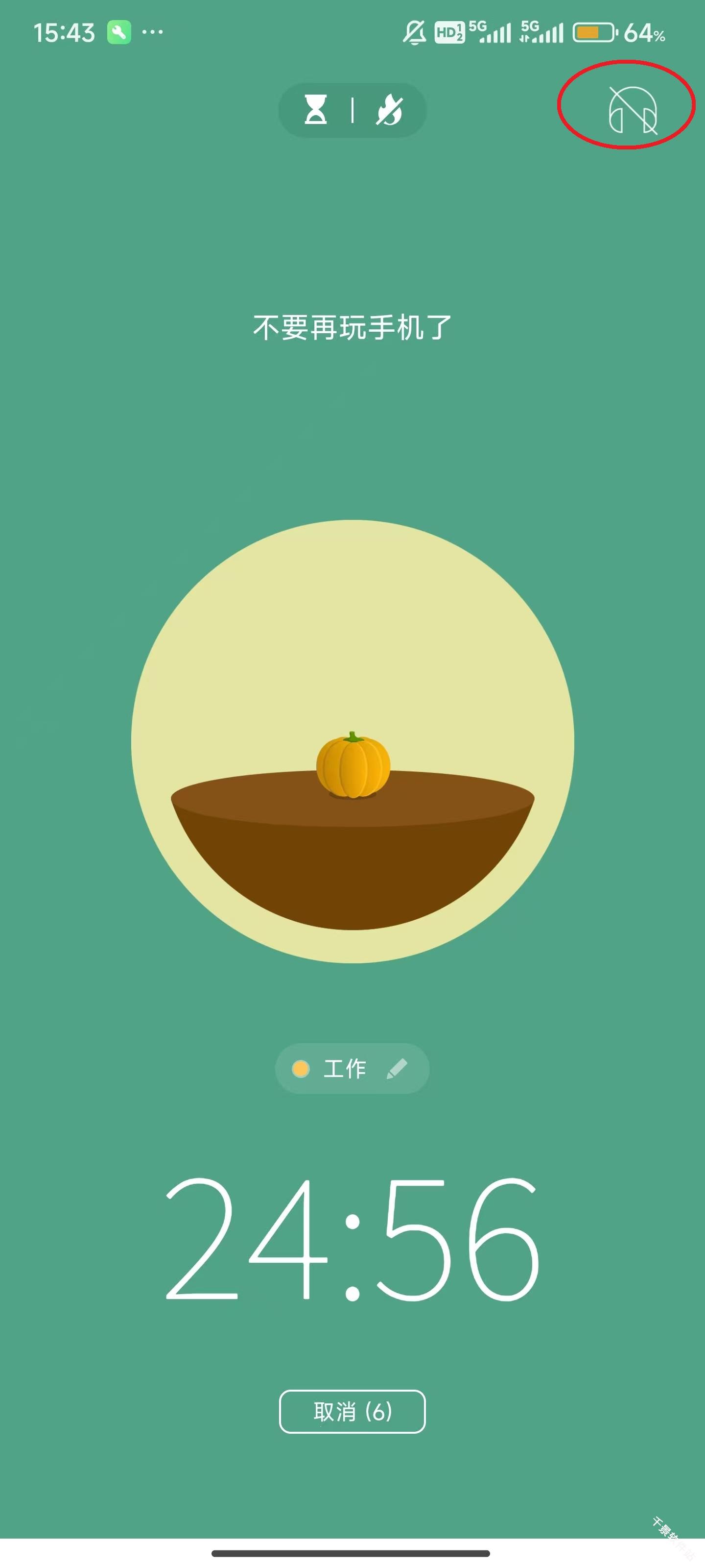 Forest专注森林