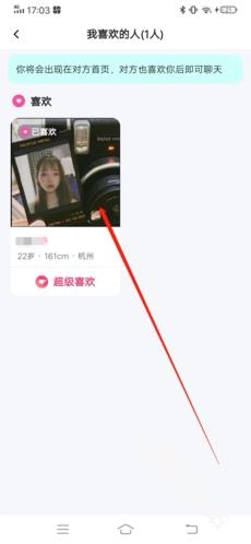 青藤之恋