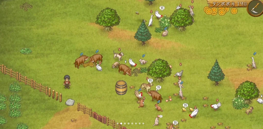 欢迎来到绵羊村