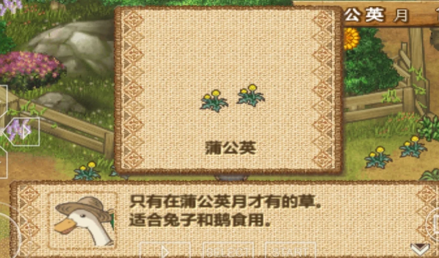 欢迎来到绵羊村