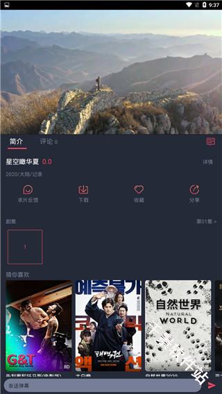 泰剧兔
