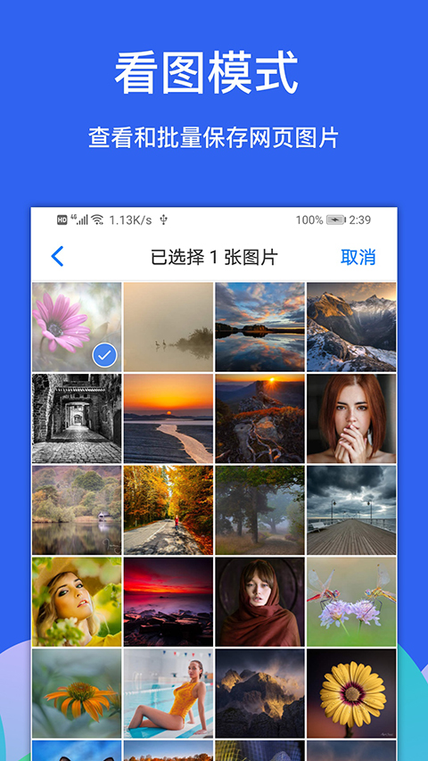 Alook浏览器截图5