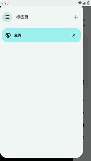Solipsism浏览器